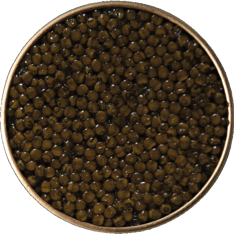 IMPERIAL Kaviar 250 Gramm 