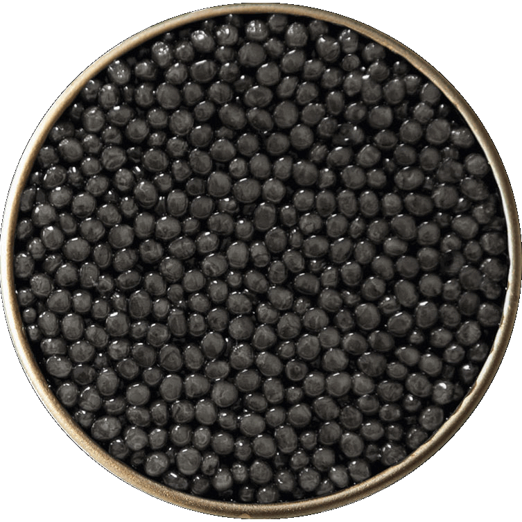 ROYAL BLACK Kaviar 250 Gramm -ACIPENSER BAERI